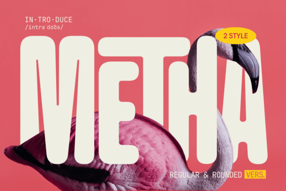 Metha: The Friendly Sans-Serif for Approachable Design